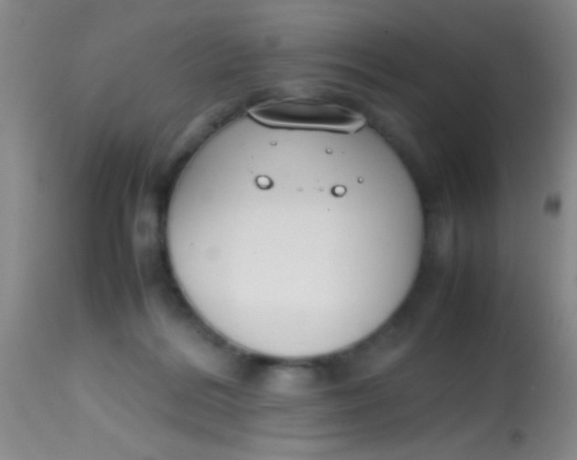 X0000113870220200910151309