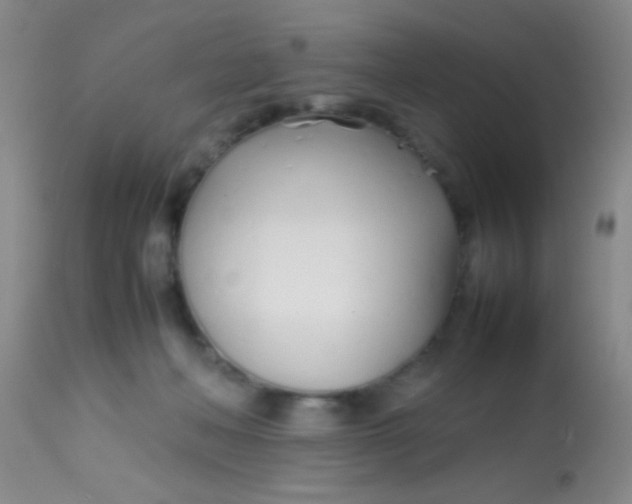 X0000113870222200910151309