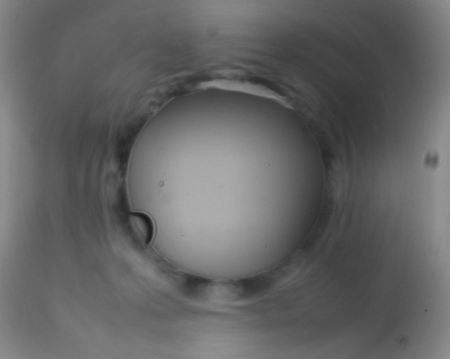 X0000113870223200910151309