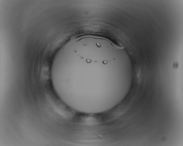 X0000113870224200910151309