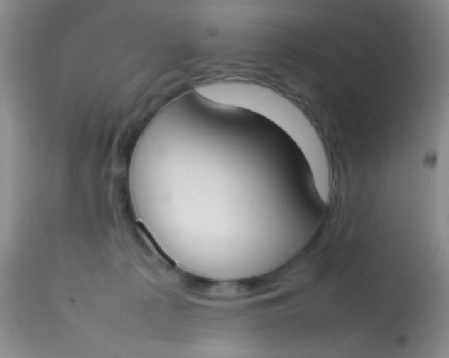 X0000113870225200910151309