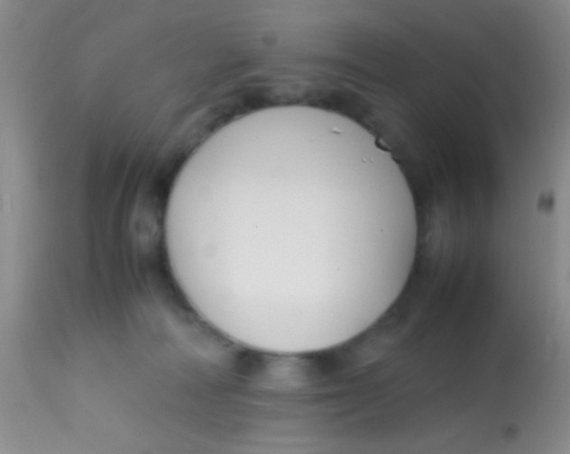 X0000113870226200910151309