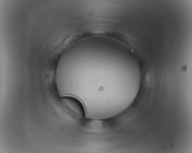 X0000113870227200910151309