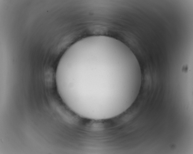 X0000113870228200910151309