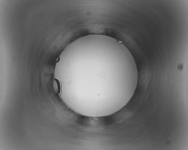 X0000113870229200910151309