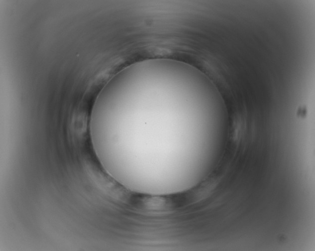 X0000113870230200910151309