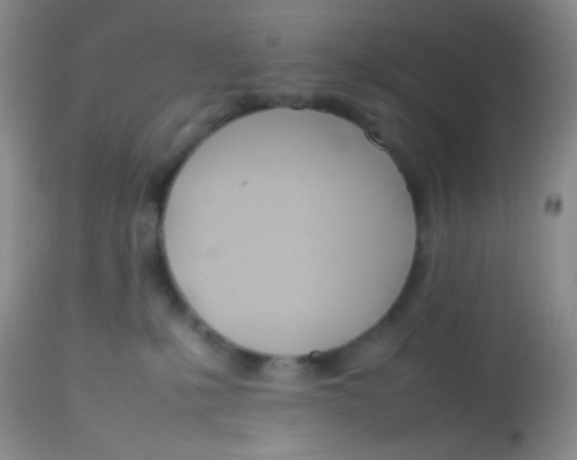 X0000113870231200910151309