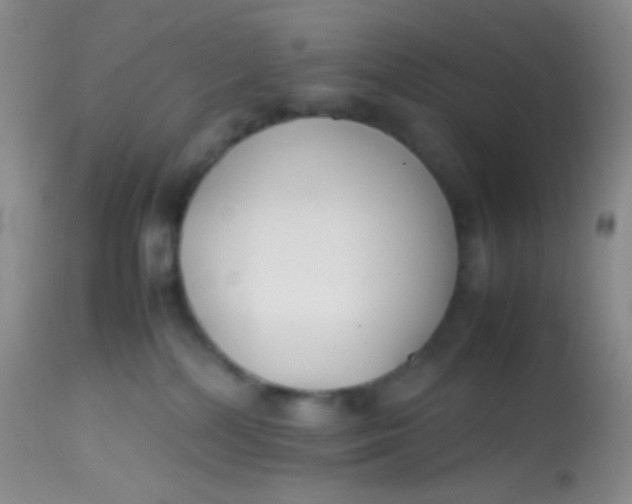 X0000113870232200910151309