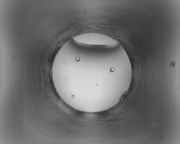 X0000113870233200910151309