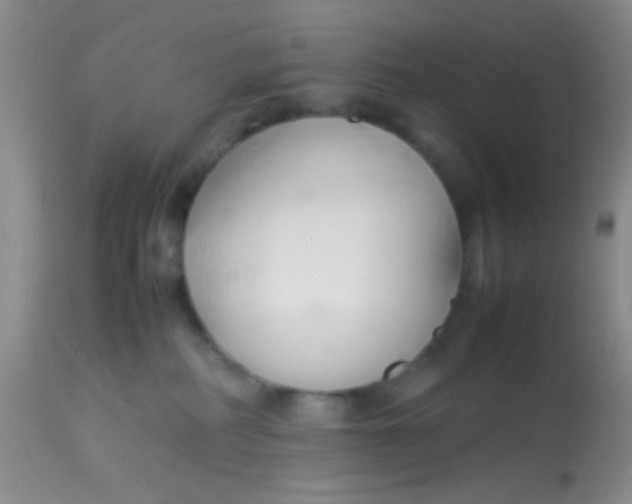 X0000113870234200910151309