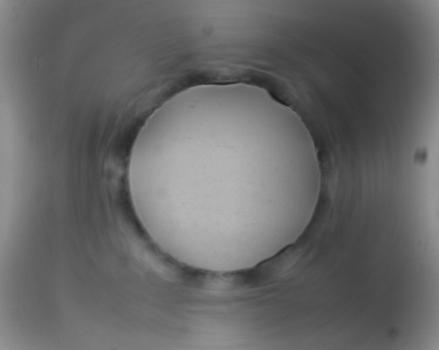 X0000113870235200910151309