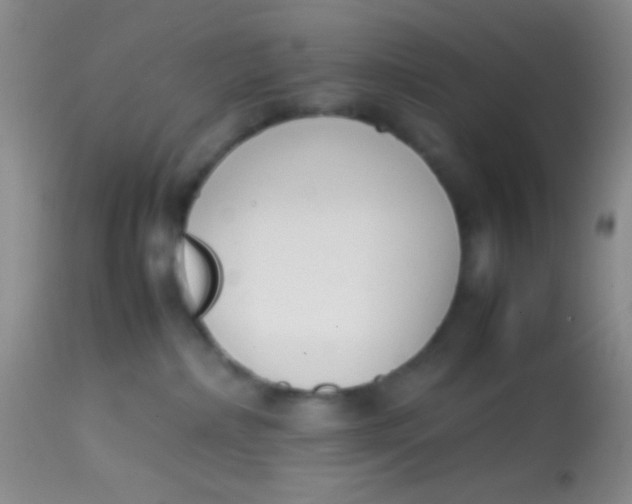 X0000113870236200910151309