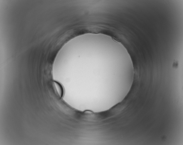 X0000113870237200910151309