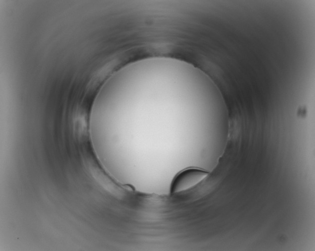 X0000113870238200910151309