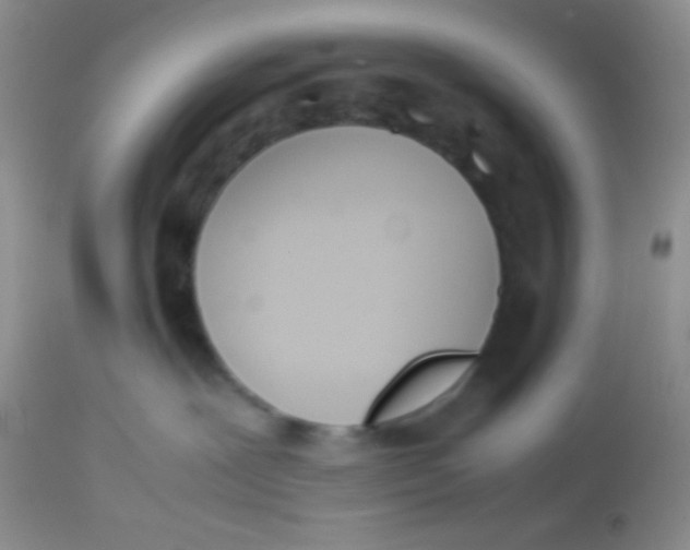 X0000113870239200910151309