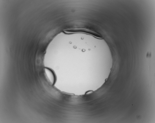 X0000113870240200910151309