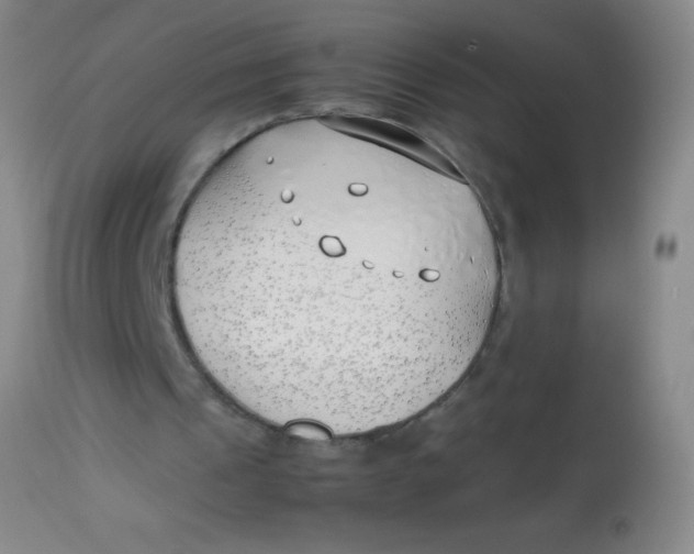 X0000113870241200910151308