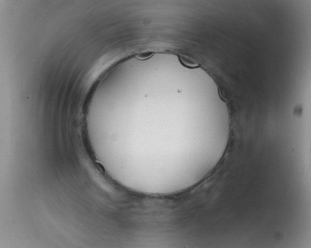 X0000113870242200910151308