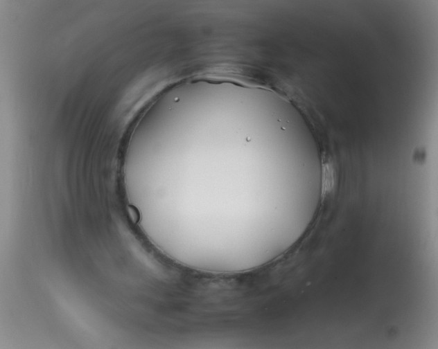 X0000113870243200910151308