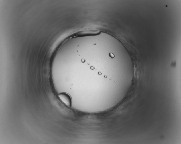 X0000113870244200910151308