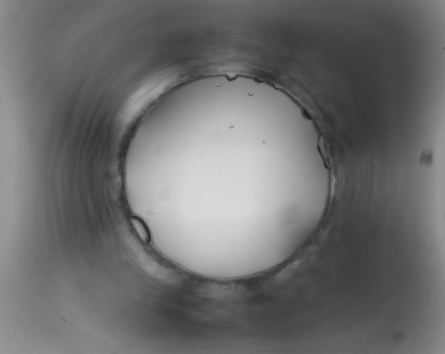 X0000113870245200910151308