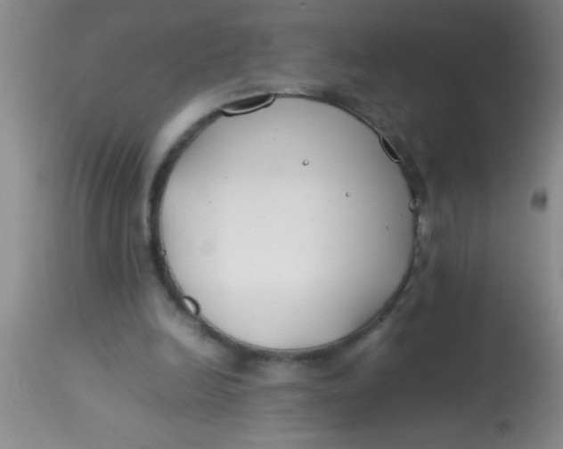 X0000113870246200910151308