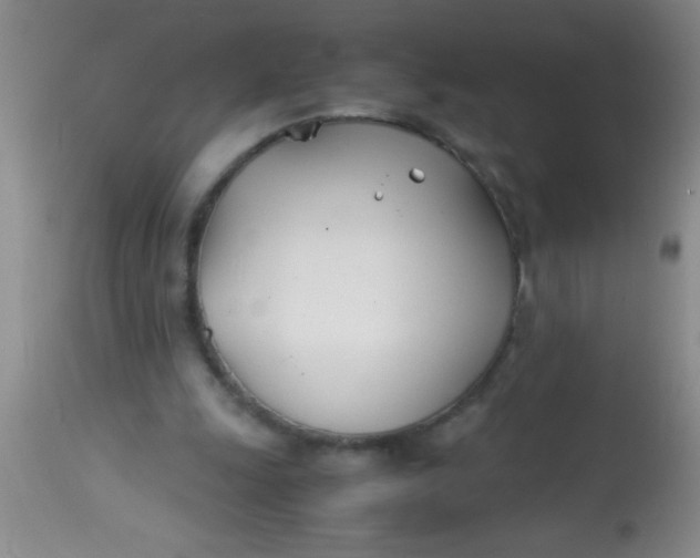 X0000113870247200910151308