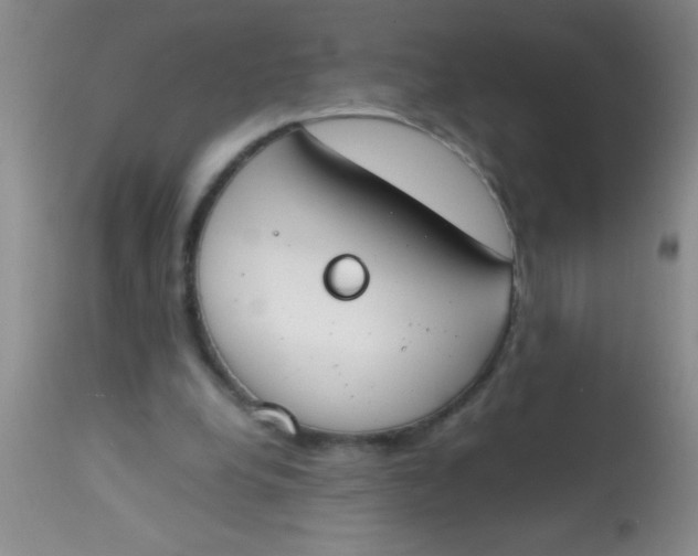 X0000113870248200910151308