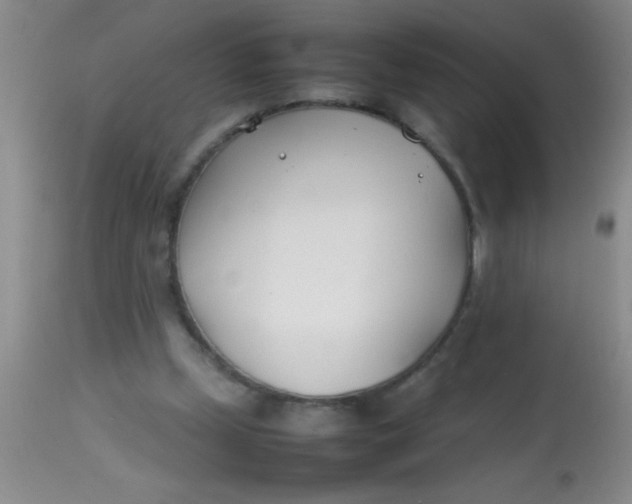 X0000113870249200910151308