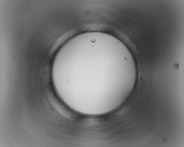 X0000113870250200910151308