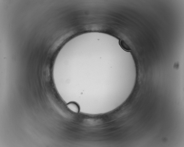 X0000113870251200910151308