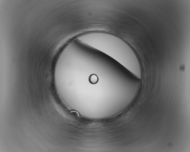 X0000113870252200910151308