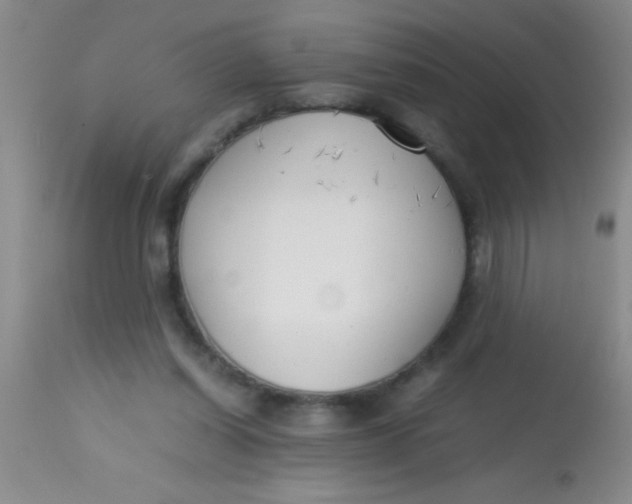 X0000113870254200910151308