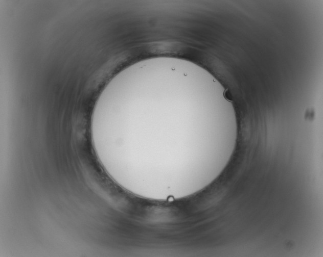 X0000113870255200910151308