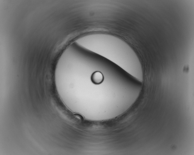 X0000113870256200910151308