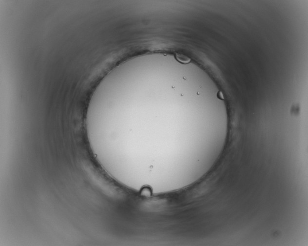 X0000113870257200910151308