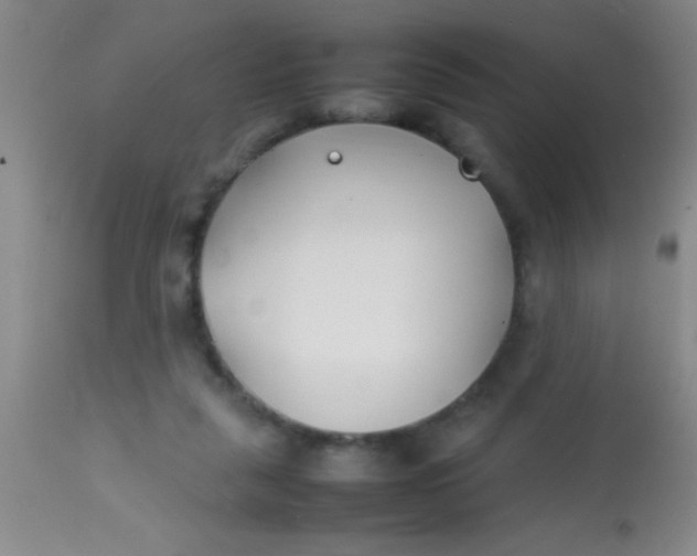 X0000113870259200910151308