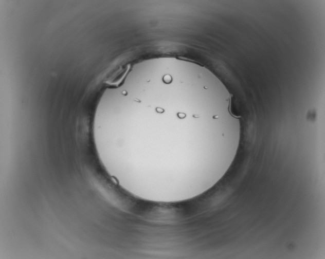 X0000113870260200910151308