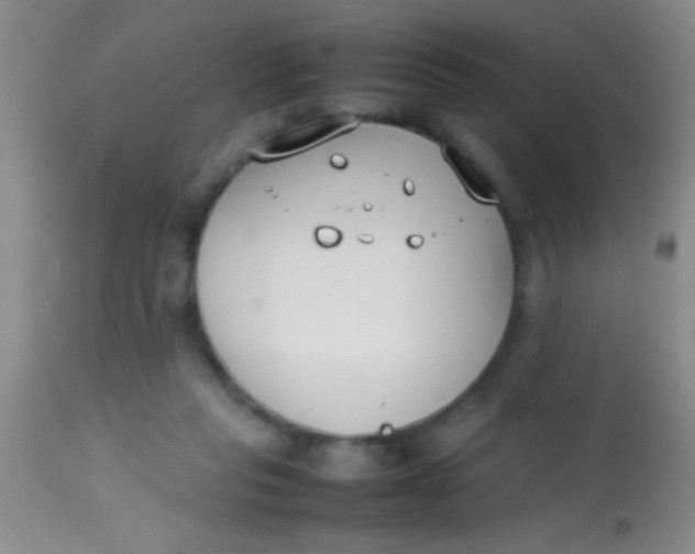 X0000113870261200910151308