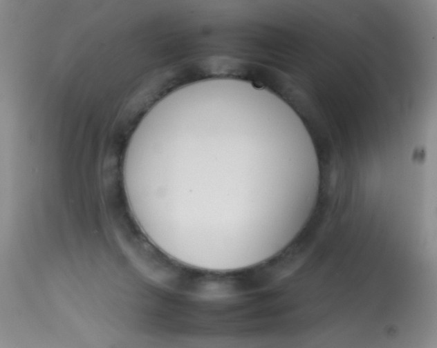 X0000113870263200910151308