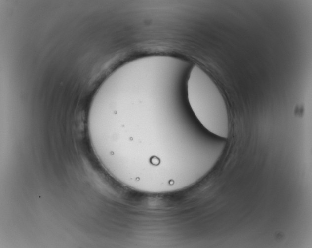 X0000113870264200910151308