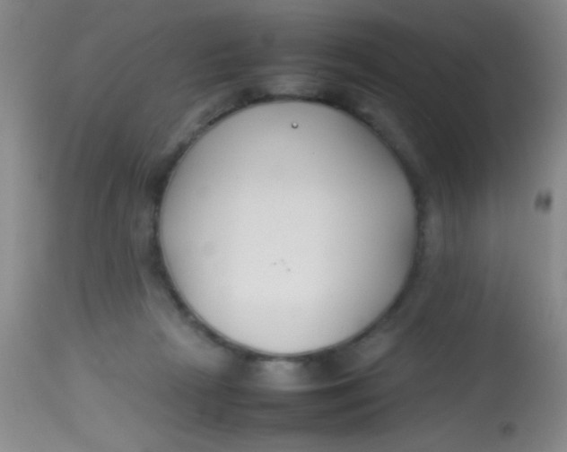 X0000113870265200910151308