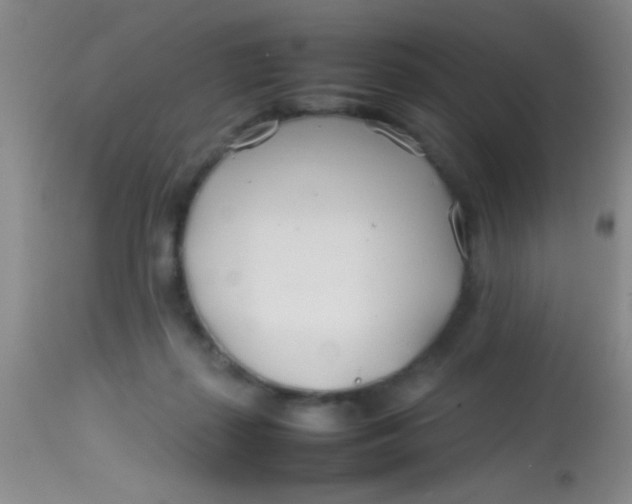 X0000113870267200910151308