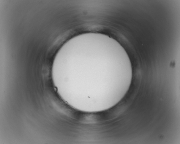 X0000113870268200910151308