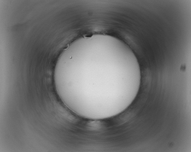 X0000113870269200910151308