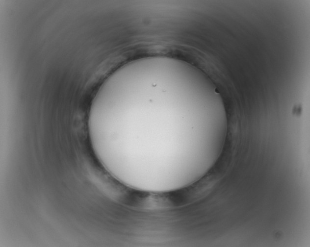 X0000113870270200910151308