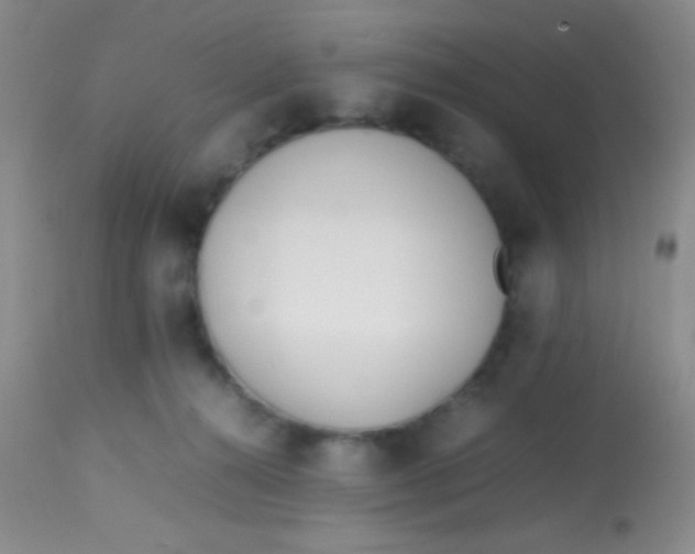 X0000113870272200910151308