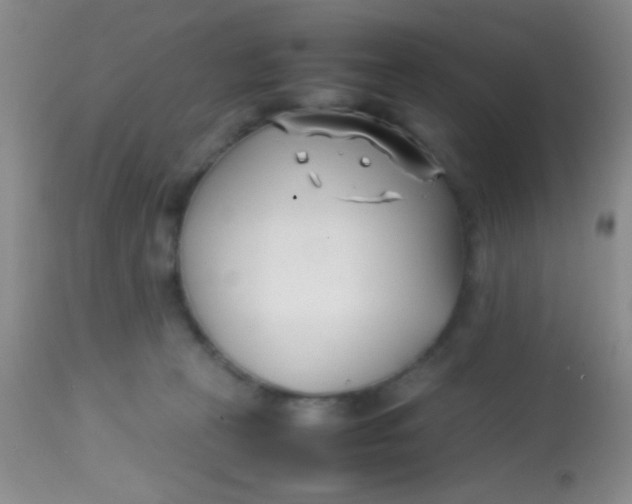 X0000113870273200910151308