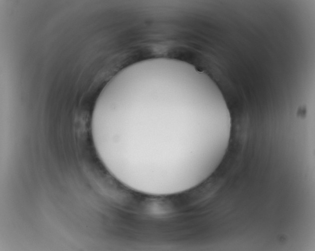 X0000113870275200910151308