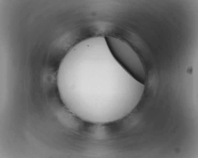 X0000113870276200910151308